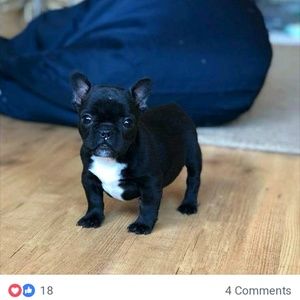 Meet your Posher, Keisha